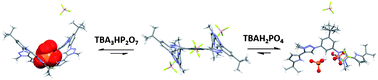 Graphical abstract: A pyrrole-based triazolium-phane with NH and cationic CH donor groups as a receptor for tetrahedral oxyanions that functions in polar media