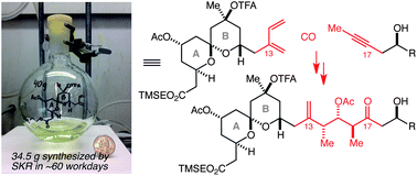 Graphical abstract: Toward a more step-economical and scalable synthesis of spongistatin 1 to facilitate cancer drug development efforts