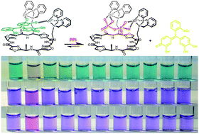 Graphical abstract: Tuning colourimetric indicator displacement assays for naked-eye sensing of pyrophosphate in aqueous media