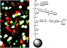 Graphical abstract: DNA-polyfluorophore chemosensors for environmental remediation: vapor-phase identification of petroleum products in contaminated soil