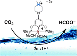 Graphical abstract: Selective electrocatalytic reduction of carbon dioxide to formate by a water-soluble iridium pincer catalyst