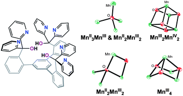 Graphical abstract: Role of oxido incorporation and ligand lability in expanding redox accessibility of structurally related Mn4 clusters