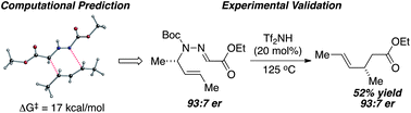 Graphical abstract: Mechanism of triflimide-catalyzed [3,3]-sigmatropic rearrangements of N-allylhydrazones—predictions and experimental validation