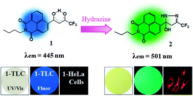 Graphical abstract: Naphthalimide trifluoroacetyl acetonate: a hydrazine-selective chemodosimetric sensor