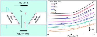 Graphical abstract: Physical origin of dynamic ion transport features through single conical nanopores at different bias frequencies