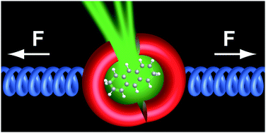 Graphical abstract: Joining forces: integrating the mechanical and optical single molecule toolkits