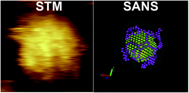 Graphical abstract: Scanning tunneling microscopy and small angle neutron scattering study of mixed monolayer protected gold nanoparticles in organic solvents