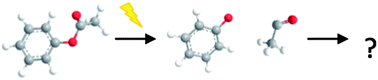 Graphical abstract: Transient electronic and vibrational absorption studies of the photo-Claisen and photo-Fries rearrangements