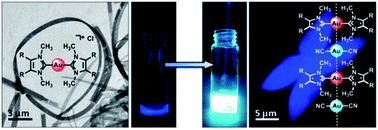 Graphical abstract: Phosphorescent polymeric nanomaterials with metallophilic d10⋯d10 interactions self-assembled from [Au(NHC)2]+ and [M(CN)2]−