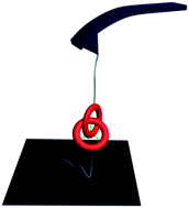 Graphical abstract: Probing the mobility of catenane rings in single molecules