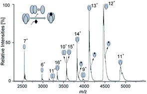 Graphical abstract: Direct monitoring of protein–protein inhibition using nano electrospray ionization mass spectrometry