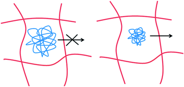 Graphical abstract: Analysis of the mesh size in a supramolecular hydrogel by PFG-NMR spectroscopy
