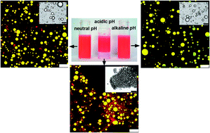 Graphical abstract: Fabrication and characterization of emulsions with pH responsive switchable behavior