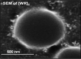Graphical abstract: Self-assembled surfactant cyclic peptide nanostructures as stabilizing agents