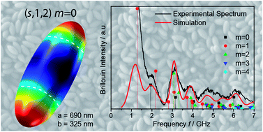 Graphical abstract: Elongated polystyrene spheres as resonant building blocks in anisotropic colloidal crystals
