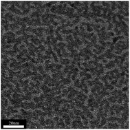 Graphical abstract: Formation and properties of wormlike micelles in solutions of a cationic surfactant with a 2-hydroxypropoxy insertion group