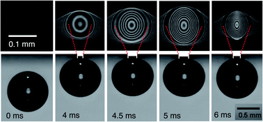 Graphical abstract: Effects of hydrodynamic film boundary conditions on bubble–wall impact