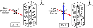 Graphical abstract: Aggregation, pretransitional behavior, and optical properties in the isotropic phase of lyotropic chromonic liquid crystals studied in high magnetic fields