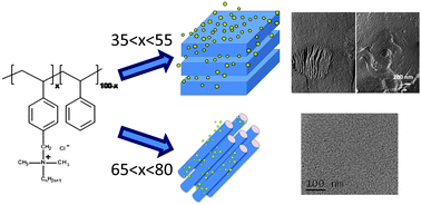 Graphical abstract: One and two dimensional self-assembly of comb-like amphiphilic copolyelectrolytes in aqueous solution