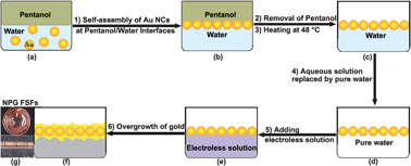 Graphical abstract: Freestanding monolayered nanoporous gold films with high electrocatalytic activity via interfacial self-assembly and overgrowth