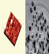 Graphical abstract: Formation of multifunctional nanocomposites with ultrathin layers of polyaniline (PANI) on silver vanadium oxide (SVO) nanospheres by in situ polymerization