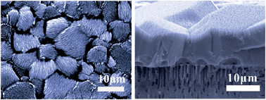 Graphical abstract: Hole-induced large-area homoepitaxial growth of CdSe nanowire arrays for photovoltaic application