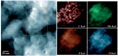 Graphical abstract: Confined synthesis of hierarchical structured LiMnPO4/C granules by a facile surfactant-assisted solid-state method for high-performance lithium-ion batteries