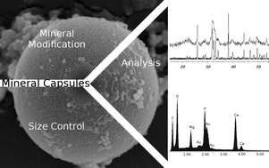 Graphical abstract: On the incorporation of functionalities into hydroxyapatite capsules