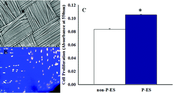 Graphical abstract: PPy-coated PET fabrics and electric pulse-stimulated fibroblasts