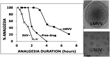 Graphical abstract: Chemical and physical characterization of remotely loaded bupivacaine liposomes: comparison between large multivesicular vesicles and small unilamellar vesicles