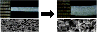 Graphical abstract: Shape memory poly(ε-caprolactone)-co-poly(ethylene glycol) foams with body temperature triggering and two-way actuation