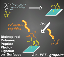 Graphical abstract: A bioinspired light induced avenue for the design of patterned functional interfaces