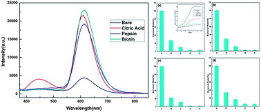 Graphical abstract: Retracted Article: Red luminescent manganese-doped zinc sulphide nanocrystals and their antibacterial study