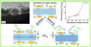 Graphical abstract: NO2-sensing performance of SnO2 microrods by functionalization of Ag nanoparticles