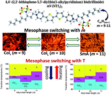 Graphical abstract: Switching from columnar to calamitic mesophases in a new class of rod-like thienoviologens