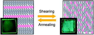 Graphical abstract: Mechanochromic luminescent liquid crystals based on a bianthryl moiety