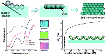 Graphical abstract: Facile synthesis of ZnS nanobowl arrays and their applications as 2D photonic crystal sensors