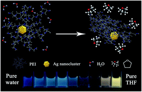 Graphical abstract: Solvatofluorochromism of polyethyleneimine-encapsulated Ag nanoclusters and their concentration-dependent fluorescence