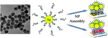 Graphical abstract: Phosphonate-stabilized silver nanoparticles: one-step synthesis and monolayer assembly