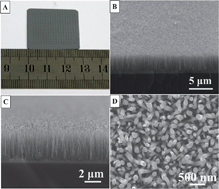 Graphical abstract: Controlled synthesis of patterned W18O49 nanowire vertical-arrays and improved field emission performance by in situ plasma treatment