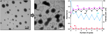Graphical abstract: Light-responsive microstructures capable of pyrene monomer fluorescence switching