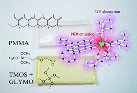 Graphical abstract: Novel erbium(iii) complexes with 2,6-dimethyl-3,5-heptanedione and different N,N-donor ligands for ormosil and PMMA matrices doping