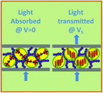 Graphical abstract: Dichroic-dye-doped polymer stabilized optically isotropic chiral liquid crystals