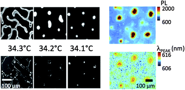 Graphical abstract: Quantum dot/liquid crystal composite materials: self-assembly driven by liquid crystal phase transition templating