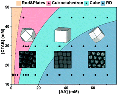 Graphical abstract: Extended gold nano-morphology diagram: synthesis of rhombic dodecahedra using CTAB and ascorbic acid