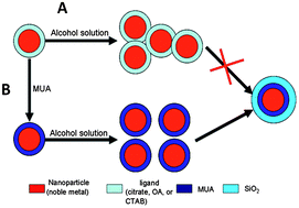 Graphical abstract: A versatile synthesis route for metal@SiO2 core–shell nanoparticles using 11-mercaptoundecanoic acid as primer