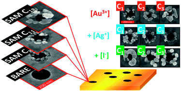 Graphical abstract: Seedless CTAB mediated growth of anisotropic nanoparticles and nanoparticle clusters on nanostructured plasmonic templates
