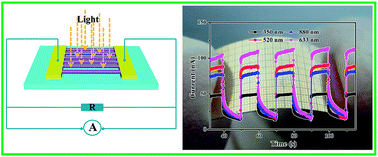 Graphical abstract: High performance rigid and flexible visible-light photodetectors based on aligned X(In, Ga)P nanowire arrays
