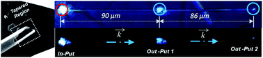 Graphical abstract: Passive optical waveguiding organic rectangular tubes: tube cutting, controlling light propagation distance and multiple optical out-puts