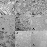 Graphical abstract: A lanthanide-doping route to aspect-ratio-controlled KSc2F7 nanocrystals for upconversion, downconversion and magnetism